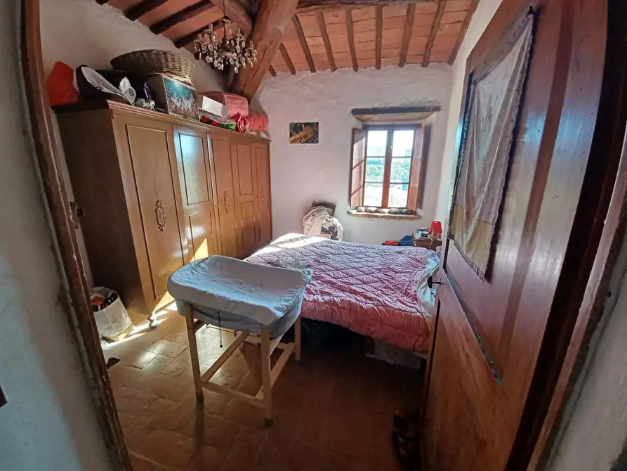 Immagine 26 di Casa colonica in vendita  a Casole D'elsa