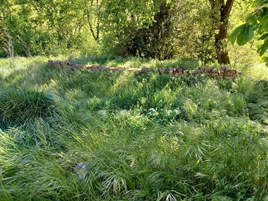 Immagine 31 di Casa colonica in vendita  a Casole D'elsa