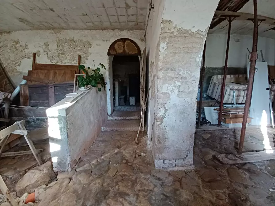 Immagine 35 di Casa colonica in vendita  a Casole D'elsa