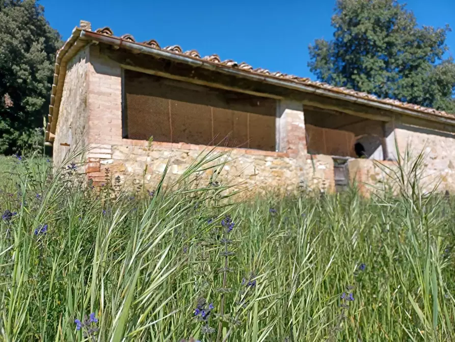 Immagine 41 di Casa colonica in vendita  a Casole D'elsa