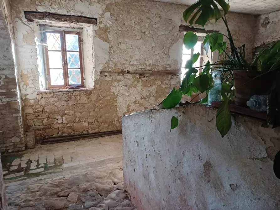 Immagine 33 di Casa colonica in vendita  a Casole D'elsa