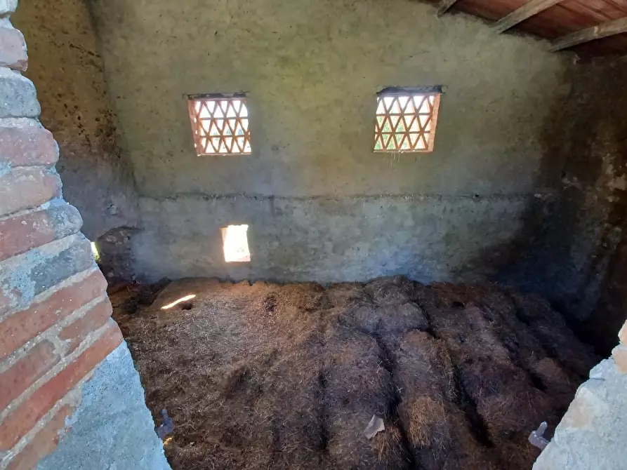 Immagine 46 di Casa colonica in vendita  a Casole D'elsa