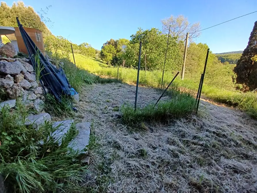 Immagine 38 di Casa colonica in vendita  a Casole D'elsa