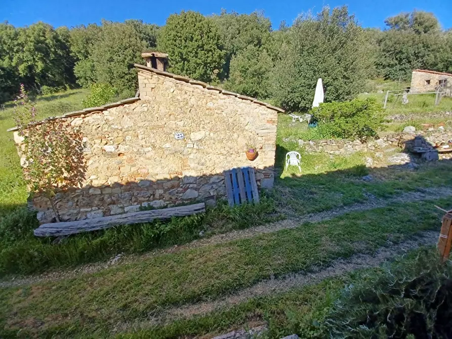 Immagine 30 di Casa colonica in vendita  a Casole D'elsa