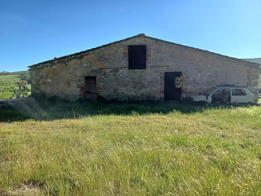 Immagine 44 di Casa colonica in vendita  a Casole D'elsa
