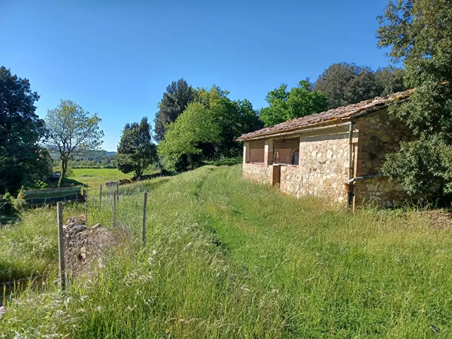 Immagine 43 di Casa colonica in vendita  a Casole D'elsa