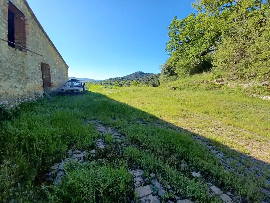 Immagine 45 di Casa colonica in vendita  a Casole D'elsa