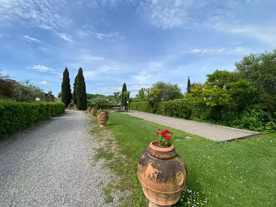 Immagine 17 di Casa colonica in vendita  a Montaione