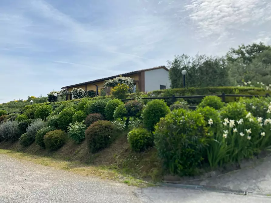 Immagine 18 di Casa colonica in vendita  a Montaione