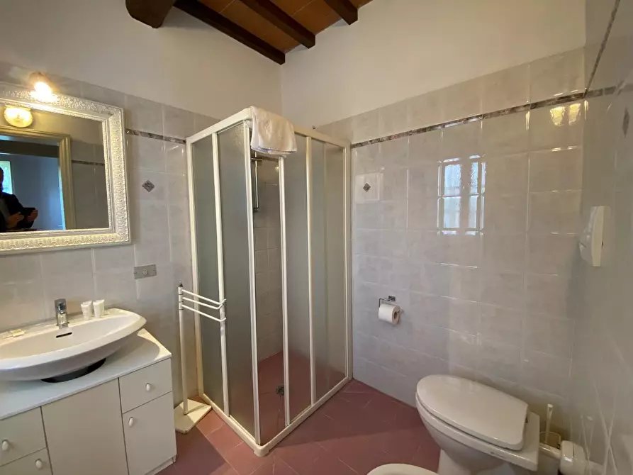 Immagine 59 di Casa colonica in vendita  a Montaione