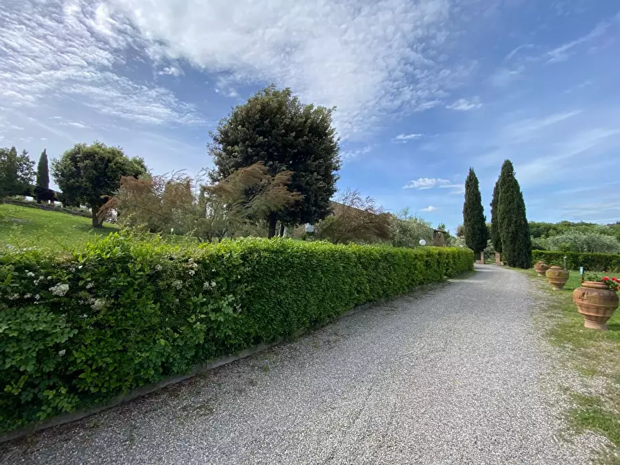 Immagine 16 di Casa colonica in vendita  a Montaione