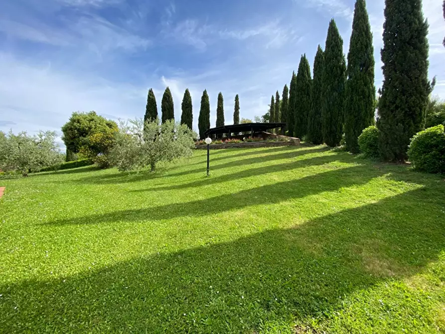 Immagine 9 di Casa colonica in vendita  a Montaione