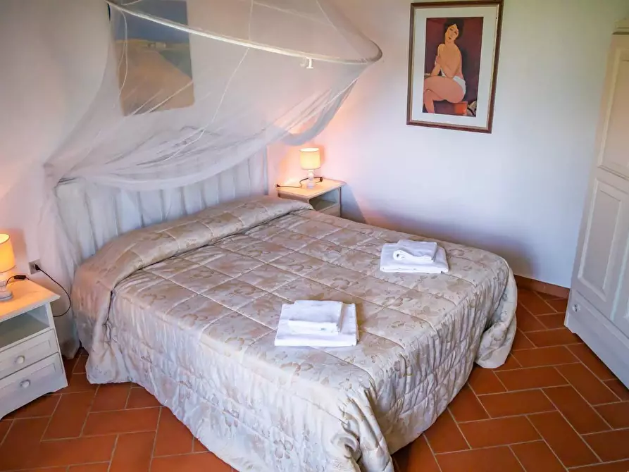 Immagine 64 di Casa colonica in vendita  a Montaione