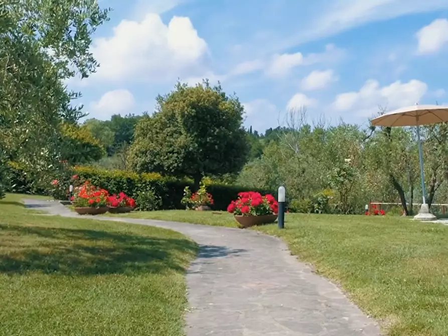 Immagine 24 di Casa colonica in vendita  a Montaione