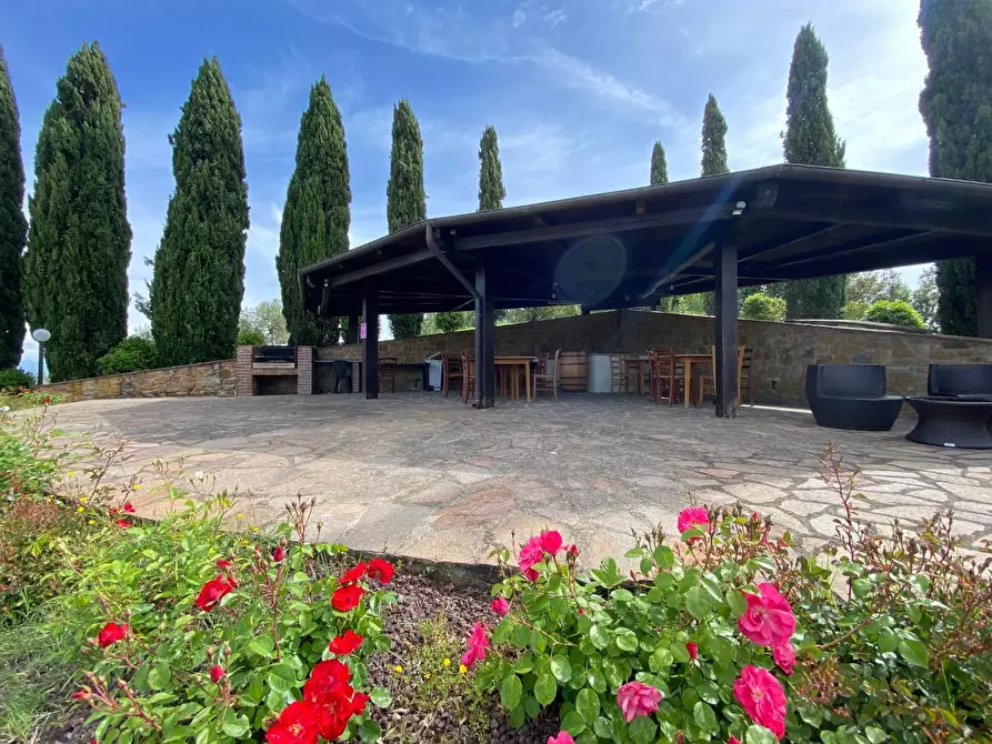 Immagine 12 di Casa colonica in vendita  a Montaione