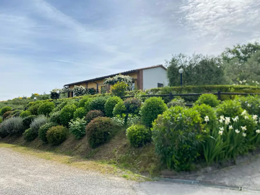 Immagine 19 di Casa colonica in vendita  a Montaione