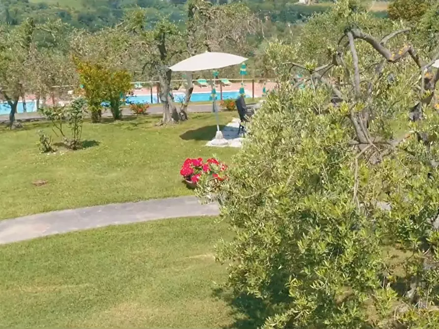 Immagine 25 di Casa colonica in vendita  a Montaione