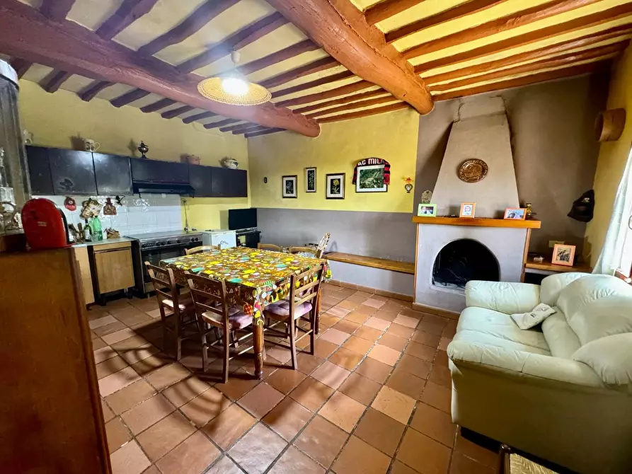 Immagine 7 di Casa colonica in vendita  a Palaia