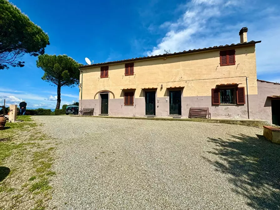 Immagine 3 di Casa colonica in vendita  a Palaia