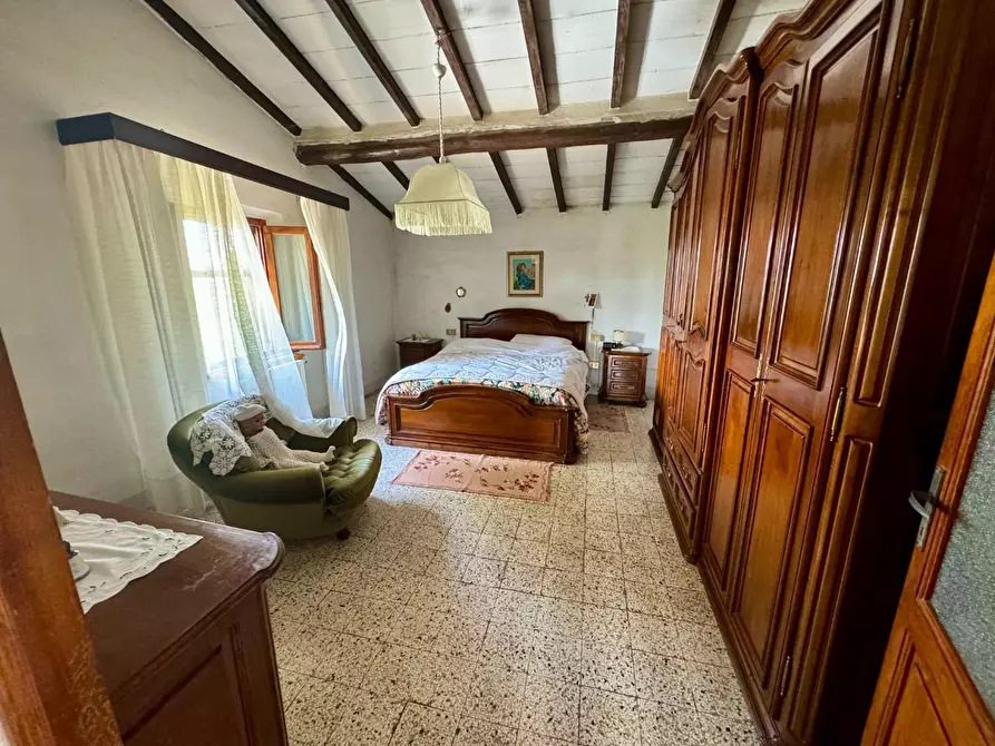 Immagine 14 di Casa colonica in vendita  a Palaia