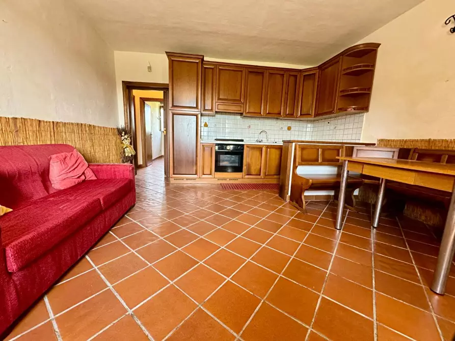 Immagine 9 di Casa colonica in vendita  a Palaia