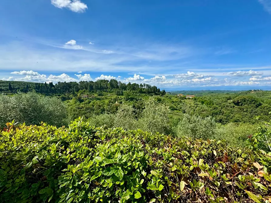 Immagine 20 di Casa colonica in vendita  a Palaia