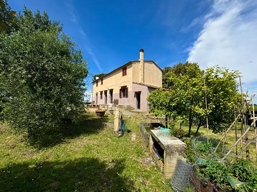 Immagine 6 di Casa colonica in vendita  a Palaia