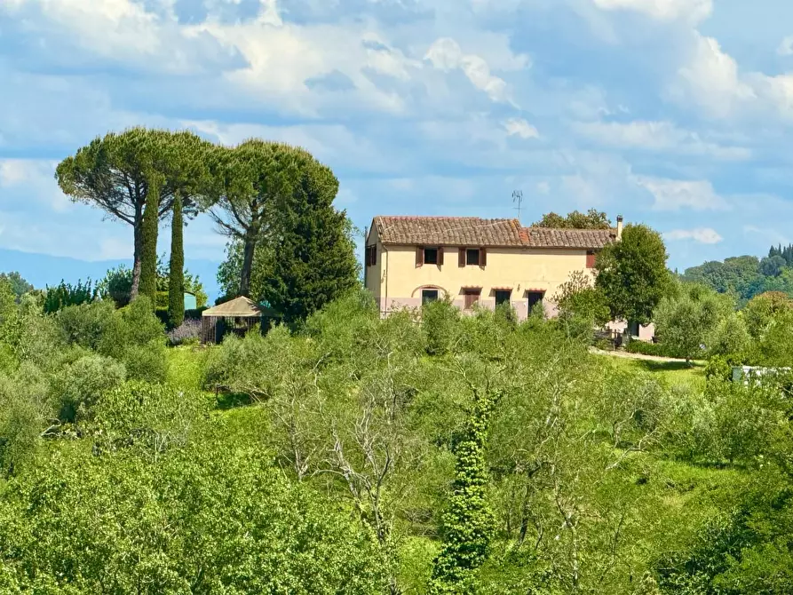 Immagine 1 di Casa colonica in vendita  a Palaia