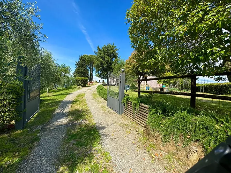 Immagine 2 di Casa colonica in vendita  a Palaia