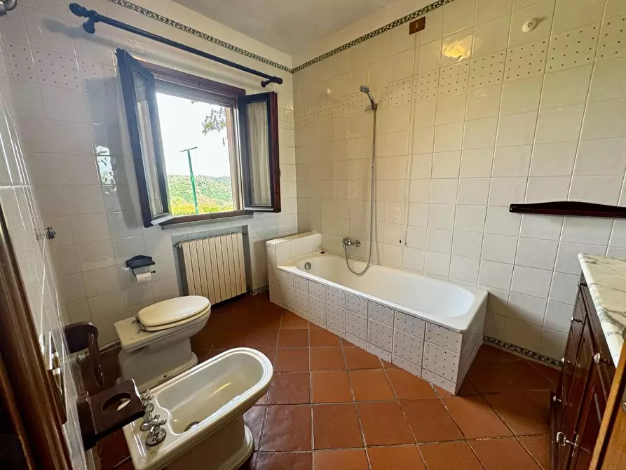 Immagine 11 di Casa colonica in vendita  a Palaia