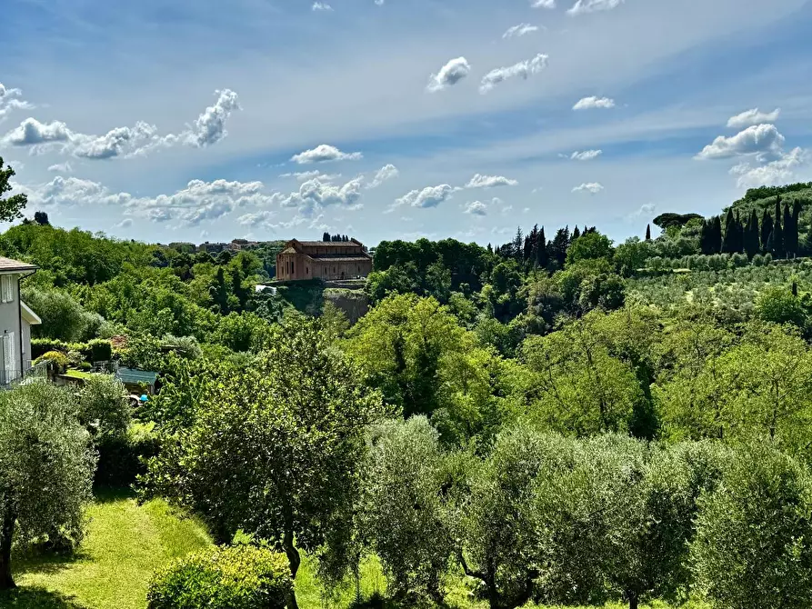 Immagine 19 di Casa colonica in vendita  a Palaia
