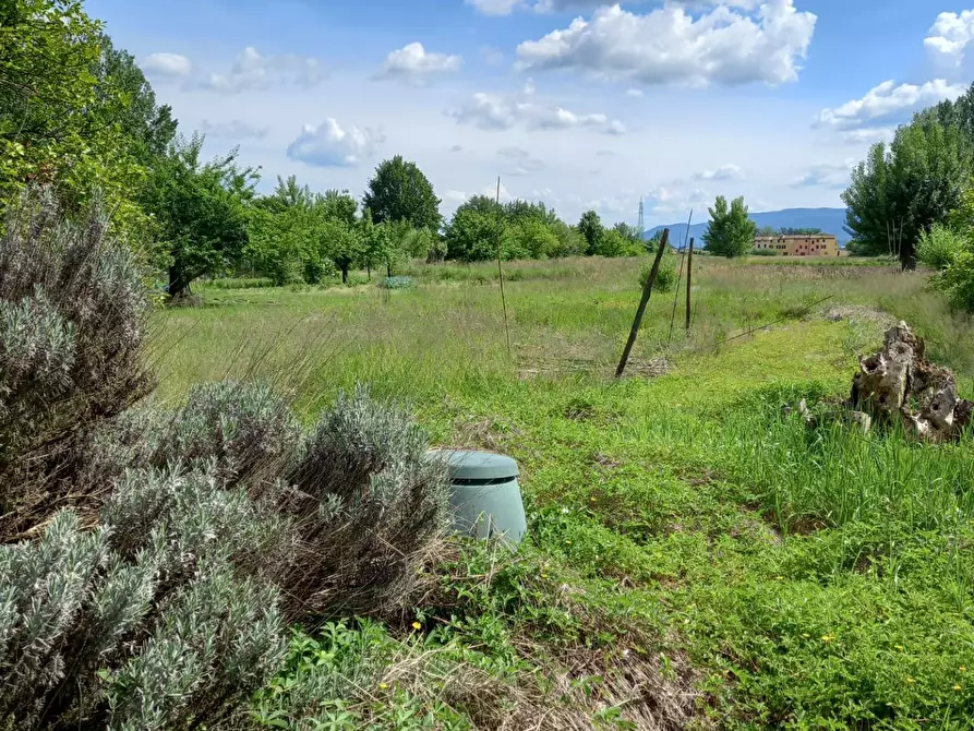 Immagine 8 di Deposito in vendita  a Capannori