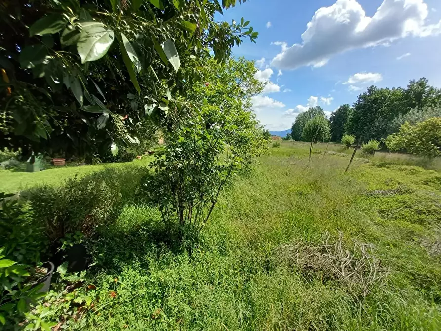 Immagine 7 di Deposito in vendita  a Capannori