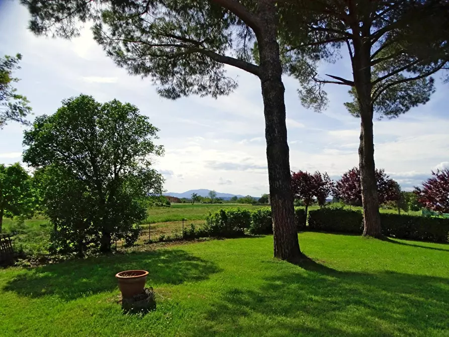 Immagine 5 di Villa in vendita  a Fucecchio