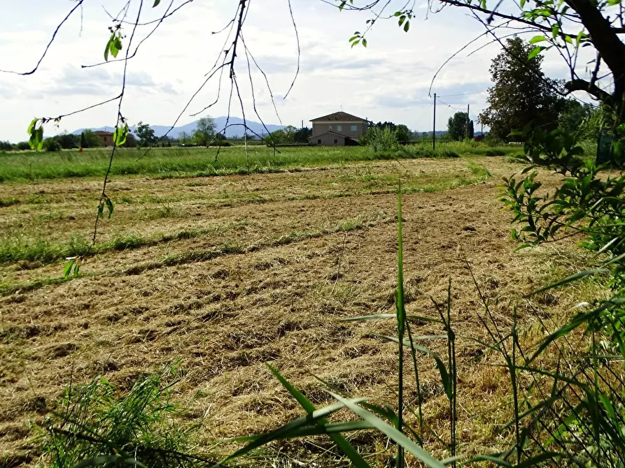 Immagine 72 di Villa in vendita  a Fucecchio