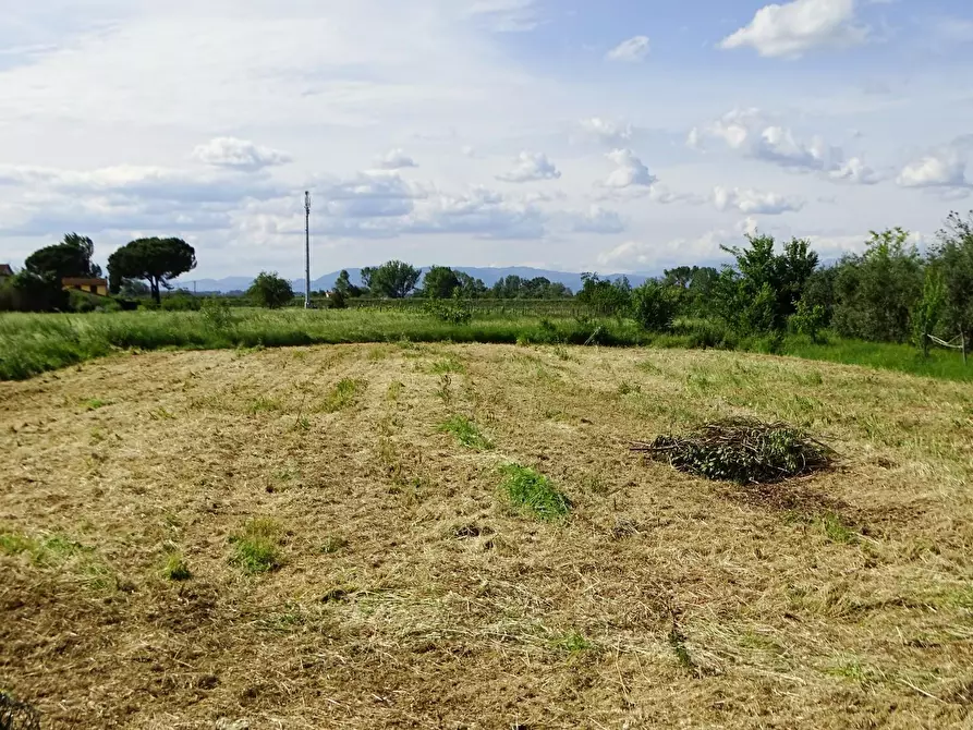 Immagine 36 di Villa in vendita  a Fucecchio