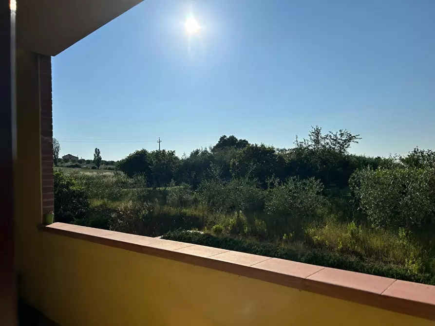 Immagine 37 di Villetta a schiera in vendita  a Crespina Lorenzana