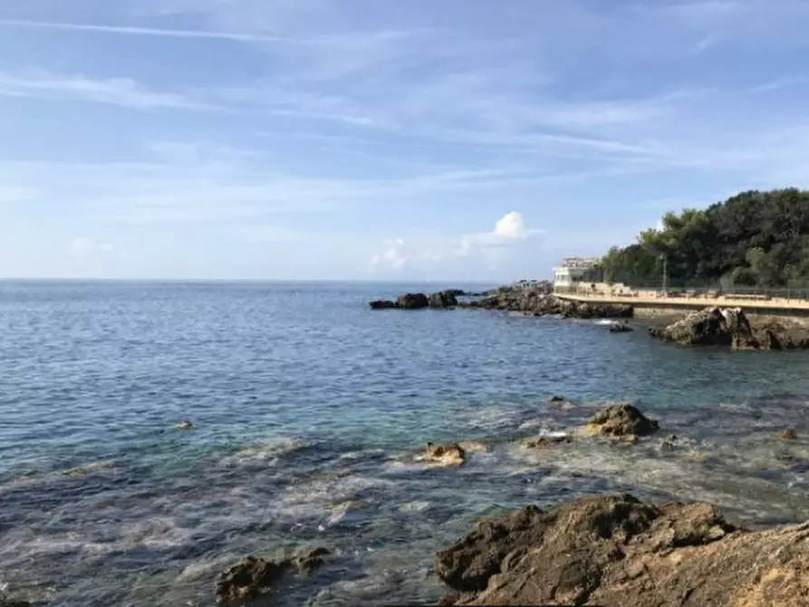 Immagine 19 di Appartamento in vendita  a Rosignano Marittimo