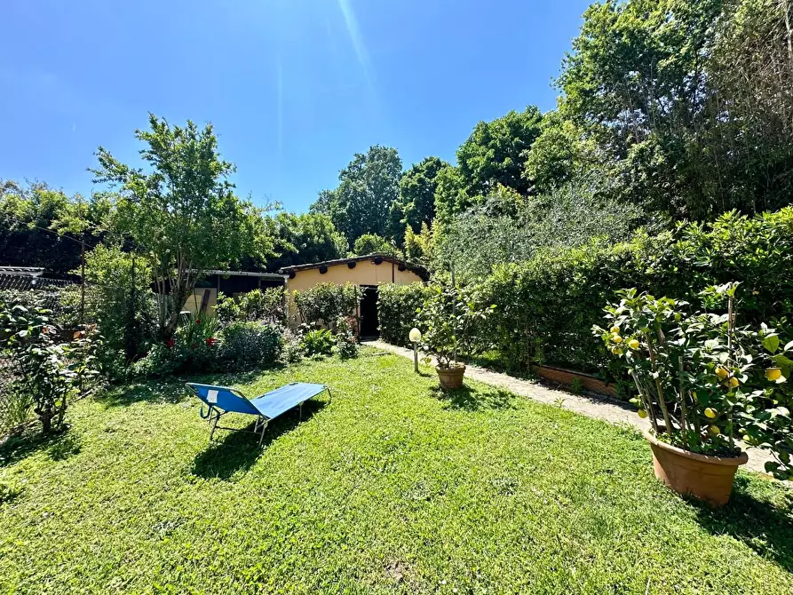 Immagine 20 di Terratetto in vendita  a Capannori