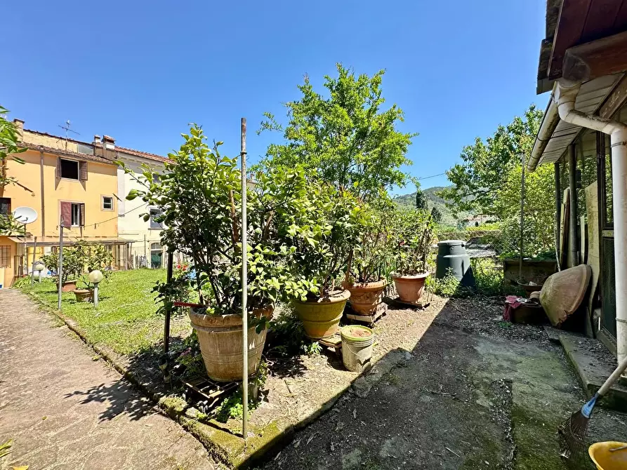 Immagine 39 di Terratetto in vendita  a Capannori