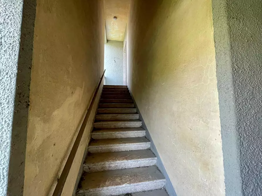 Immagine 2 di Casa bifamiliare in vendita  a Pietrasanta