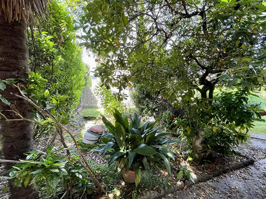 Immagine 20 di Casa bifamiliare in vendita  a Pietrasanta