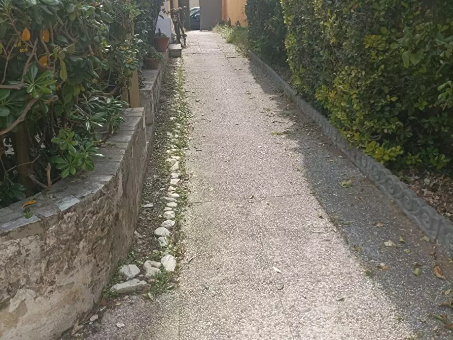 Immagine 4 di Villa in vendita  a Pisa