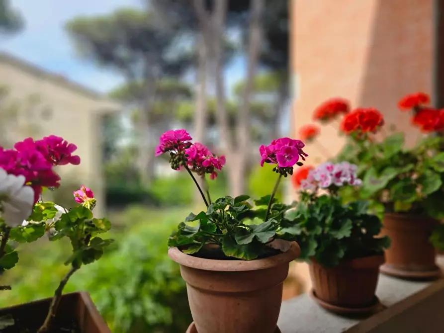 Immagine 12 di Villetta a schiera in vendita  a Pisa