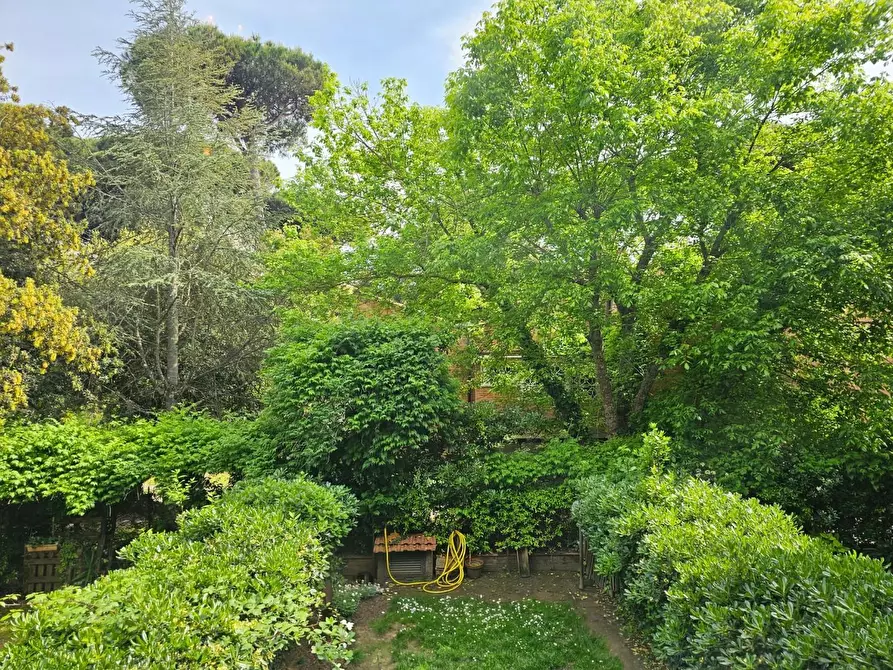 Immagine 6 di Villetta a schiera in vendita  a Pisa