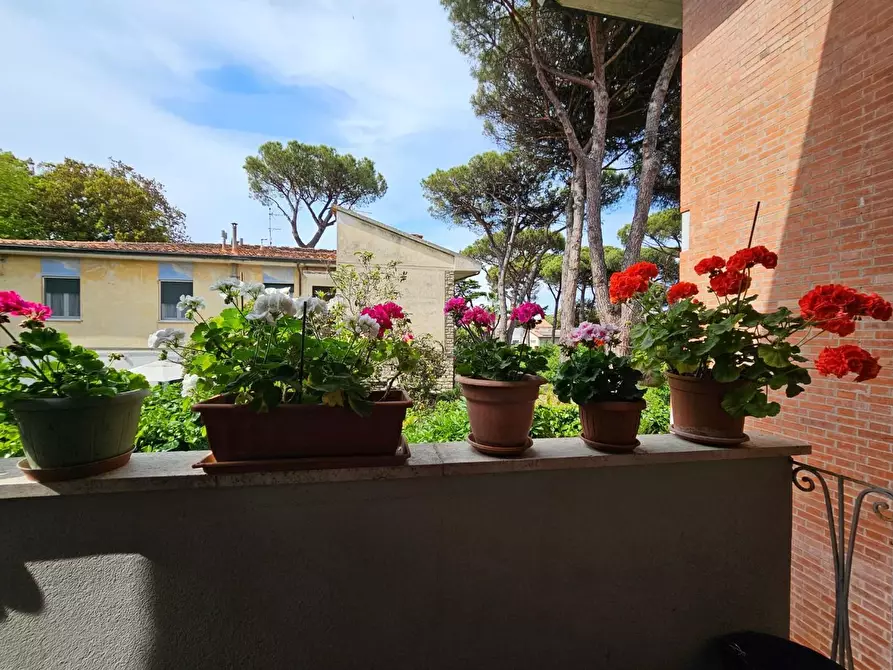 Immagine 13 di Villetta a schiera in vendita  a Pisa