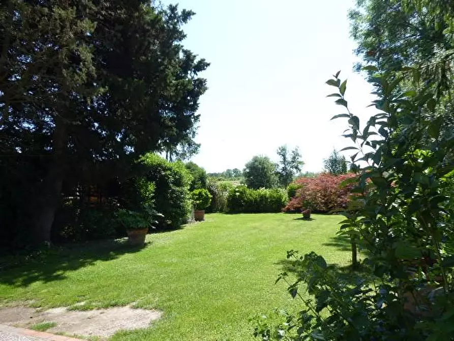 Immagine 1 di Casa indipendente in vendita  a Vecchiano