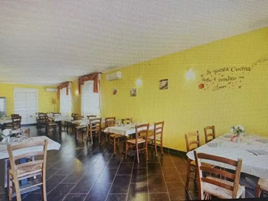 Immagine 4 di Locale commerciale in vendita  a Casciana Terme Lari