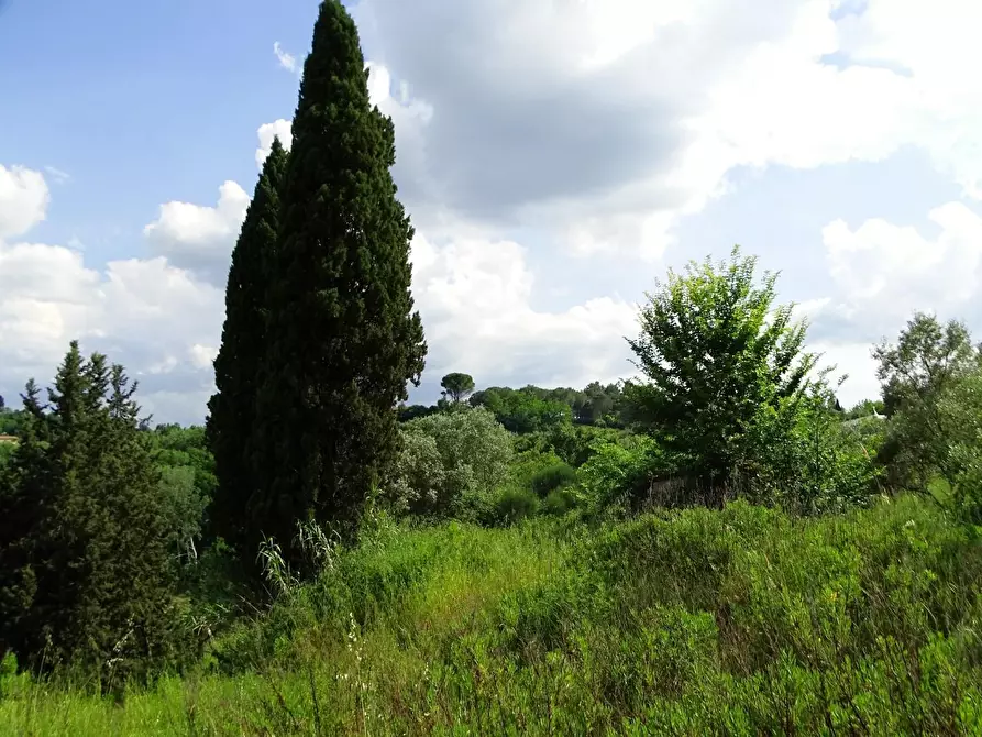 Immagine 17 di Terreno agricolo in vendita  a San Miniato