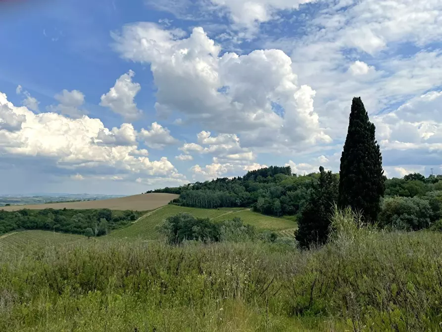 Immagine 22 di Terreno agricolo in vendita  a San Miniato